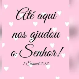 Vendas