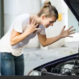 Profissionais de automóveis