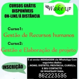 CURSOS ONLINE GRÁTIS DE WAKE-UP