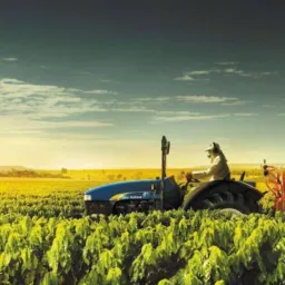 PRODUTORES MINAS GERAIS 🚜