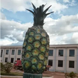 Floresta 🍍 compras 🛒 e vendas 🪀📲