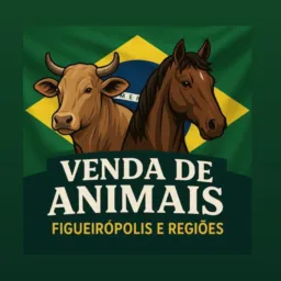 Venda de animais fazendas máquina agrícolas