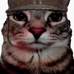 👺KASSI SEVERS AMANHÃ