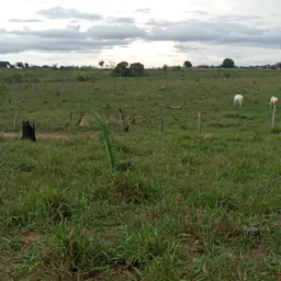 Venda online mdo e região