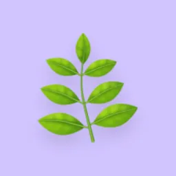 Terapia Capilar Integrativa🌿