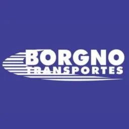 PARCEIROS BORGNO TRANSP. 163/364🚛