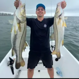Grupo Danilo Guia 🎣🎣🎣