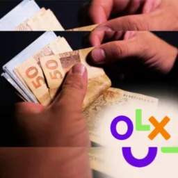 OLX🇧🇷tríplice🇵🇪fronteiras🇨🇴