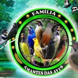*AMANTES DAS AVES*🐦