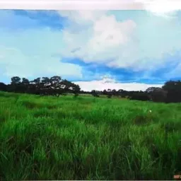 Fazenda 03 irma