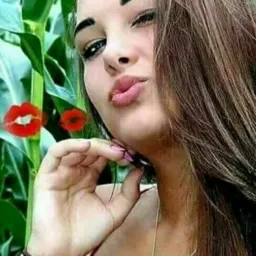LINKS ❤️ MÚSICA 🎸