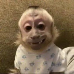 Kkkkk