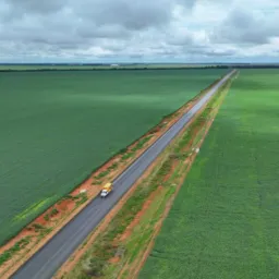 BR 387x364 Rondônia