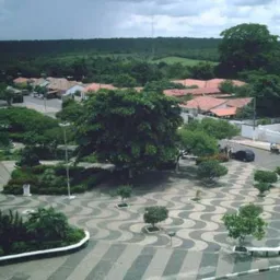 Regeneração de Verdade.