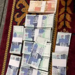 Vedios Brasil 🛑🏆