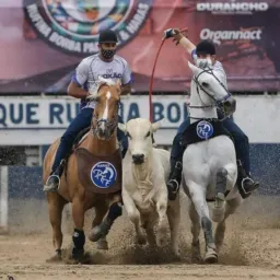 Grupo de vaquejada🐂🏇