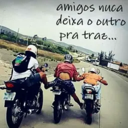 Mercado livre solânea etc