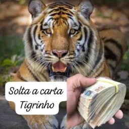 Grupo Patrícia Costa 🤑😎