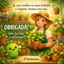 Compra  d flores 🌹🪴