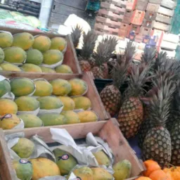 Barraca da Bênção só Frut