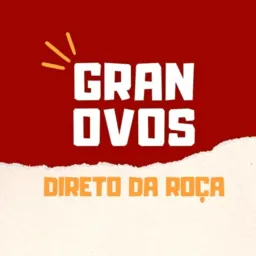 VENDA DE OVOS DIRETO DA ROÇA