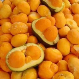 Vendas de piqui comunicação juruena Aripuana castanheira colniza cotriguaçu