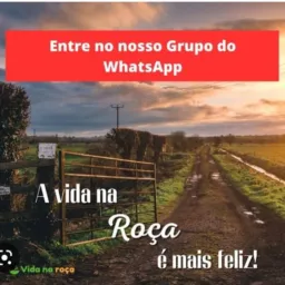 🌿🐄 VIDA NA ROÇA 🐎🌾🌱🍃