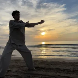 Curso de Formação de Instrutores de Tai Chi Chuan