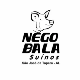 Nego Bala Suinos 🐷 Compra e vendas de Suinos