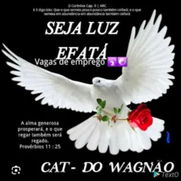 3️⃣CatDO MANO WAGNÃO SEJA LUZ WAGNAO E FAMÍLIA