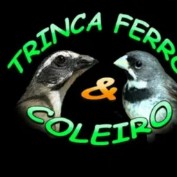 Passaros vr e Br e Rezende .só top