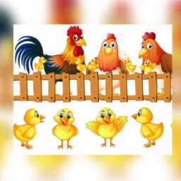 Aqui é só RAIZ CAIPIRA mesmo:VENDA; galinha,franga/o,galo,pintinho,pato/a e ovos caipira, P.porã