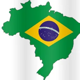 + 55 BR LINKS