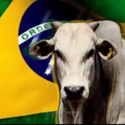 AGRO COMPRA E VENDA 🐂 🐄🐴