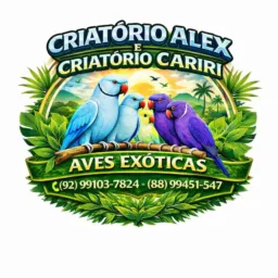 🦜AVES EXÓTICAS CEARÁ MANAUS 🕊️