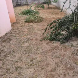 Capina e limpeza de quintal