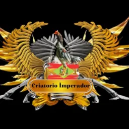 ⚜️⚜️CRIATÓRIO IMPERADOR ⚜️⚜️SC