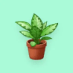 Plantas trocas vendas e doações  de Plantas 🪴 RJ /nova Iguaçu km 32 ao 42/Seropédica/nova Iguaçu