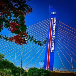 Vendas  Guarulhos