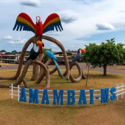 Grupo Oficial Amambai Vendas Gerais