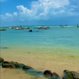 Passeio Praia de ponta negra 🌊
