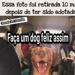 🔥❤️defensores 😘🦮🫵🏼Vô 🦮🐕🐈proteteger😘❤️🔥🫵🏼🐕