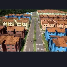 🎁🛍️🛒Paricas e Maracacueras Vendas