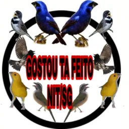 Gostou Ta Feito Nit/SG🦅