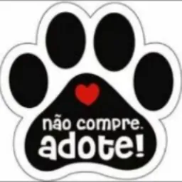 Doação de cachorros 🐕💕 Codó MA