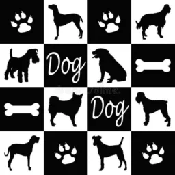 🐾🐾  MUNDO DOS DOG`S  🐾🐾