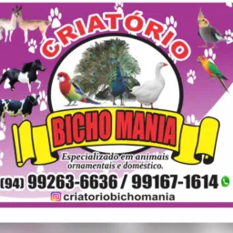 926° RIFAS BICHO MANIA