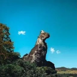 Vendas e negócios Nova Friburgo