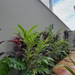 UNIDOS da jardinagem e paisagismo 🏡