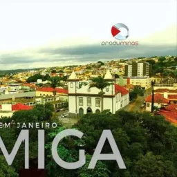 Grupo de vendas Formiga 1